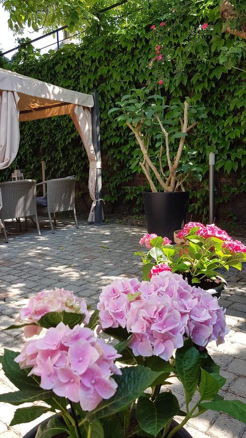 Villa Melodia Svinoústí Exteriér fotografie
